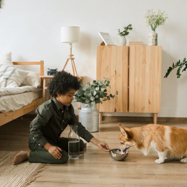 A young child kneels on the floor beside a bed, pouring water into a bowl for a corgi dog in a cozy, plant-filled bedroom.