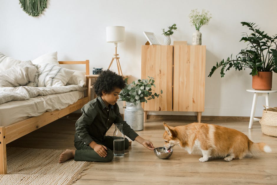 A young child kneels on the floor beside a bed, pouring water into a bowl for a corgi dog in a cozy, plant-filled bedroom.
