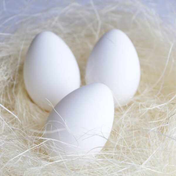 Three white eggs are placed in a nest made of pale straw-like material.
