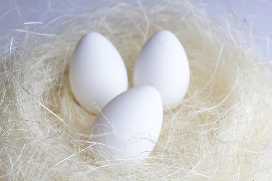 Three white eggs are placed in a nest made of pale straw-like material.