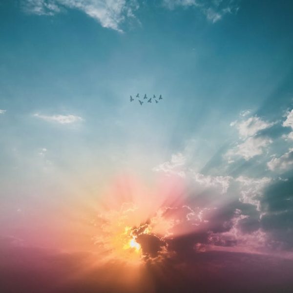 The sun is rising or setting behind clouds, casting colorful rays across the sky, with a flock of birds flying in the distance.