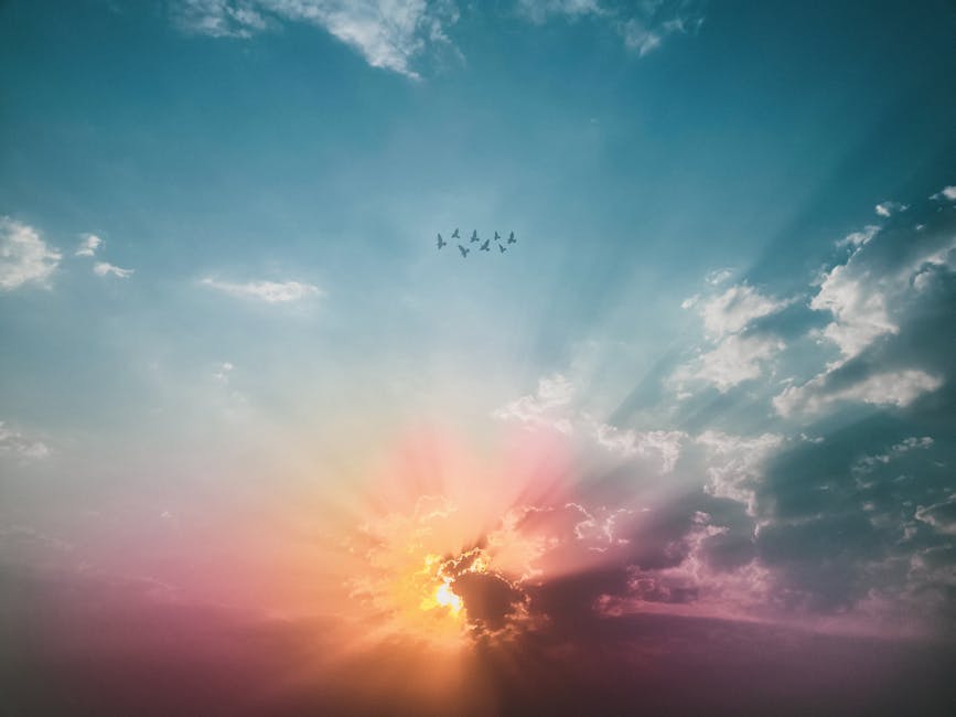 The sun is rising or setting behind clouds, casting colorful rays across the sky, with a flock of birds flying in the distance.