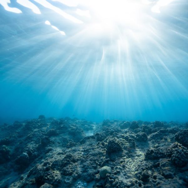Sunlight shines through clear blue water, illuminating the rocky ocean floor below.