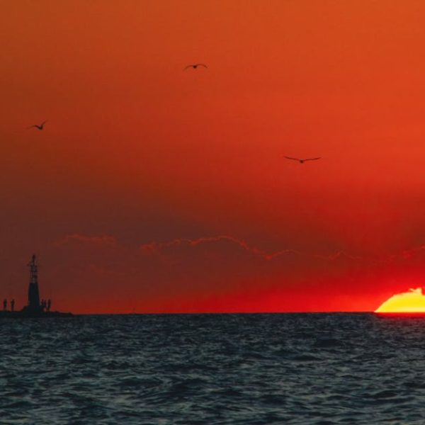 Sunset over the ocean with the sun half below the horizon, a lighthouse and people silhouetted on the left, and three birds flying in the orange sky.