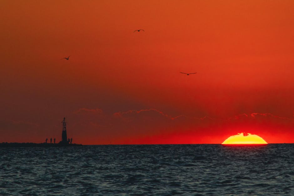 Sunset over the ocean with the sun half below the horizon, a lighthouse and people silhouetted on the left, and three birds flying in the orange sky.