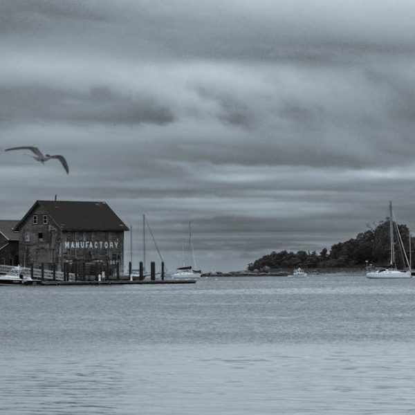 A waterside building labeled "Manufactory" sits by a dock under a cloudy sky, with boats on the water and a bird flying overhead.