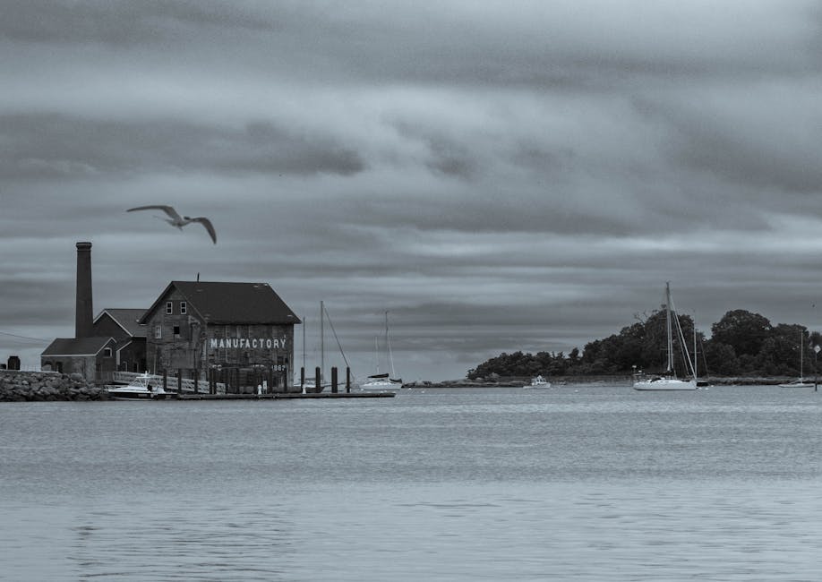 A waterside building labeled "Manufactory" sits by a dock under a cloudy sky, with boats on the water and a bird flying overhead.