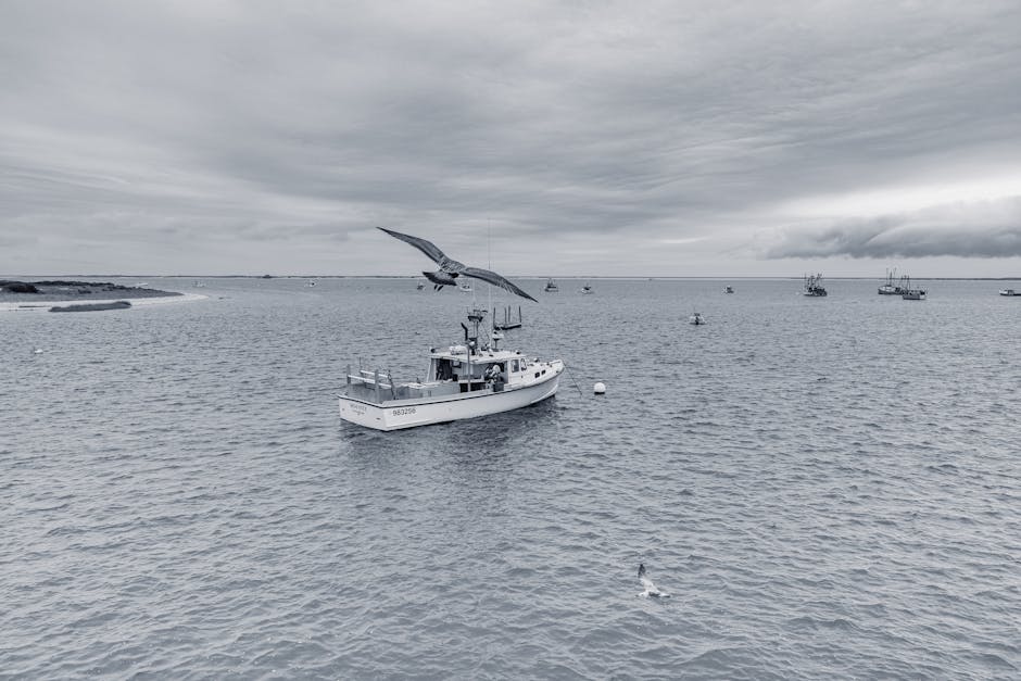 A fishing boat floats on calm water under a cloudy sky, with a large bird flying above and several other boats visible in the distance.