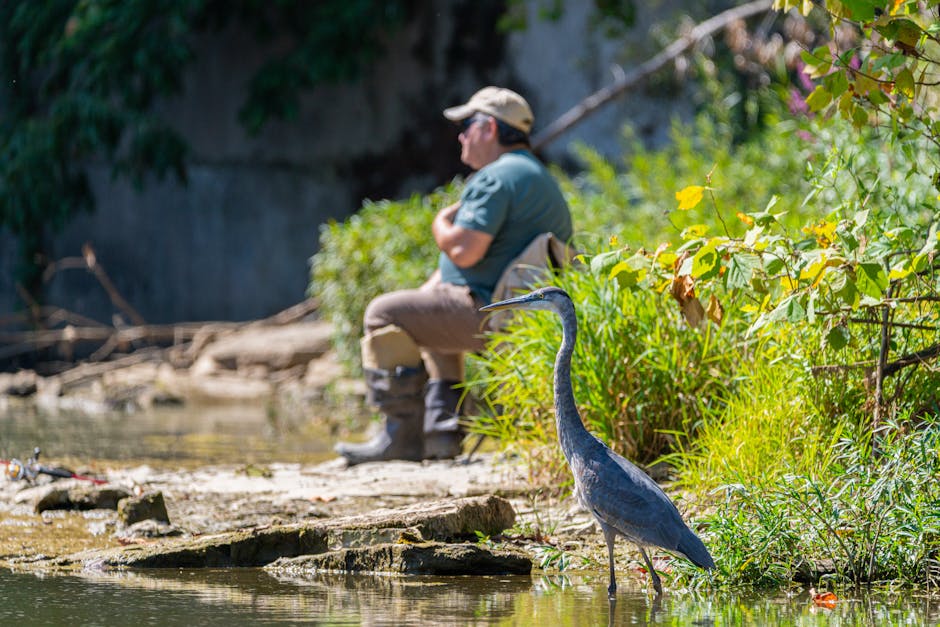 A person sits on the riverbank in the background while a tall gray heron stands near the water's edge in the foreground amid green vegetation.