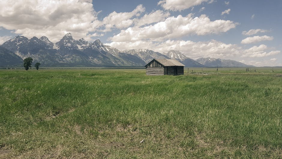 A small wooden cabin stands alone in a grassy field with snow-capped mountains and scattered clouds in the background.