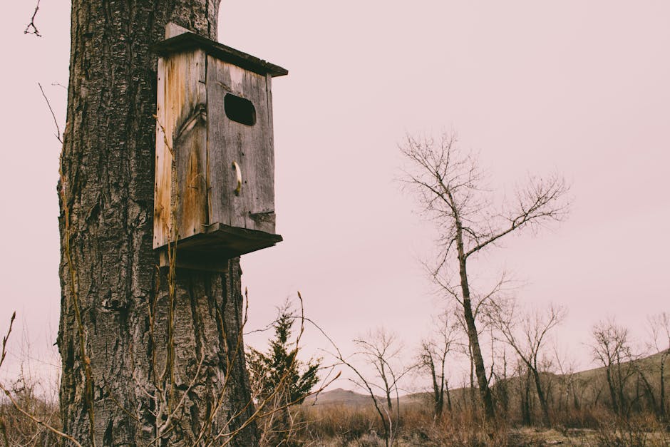 A weathered wooden birdhouse is attached to the trunk of a tree in a leafless, overcast landscape.