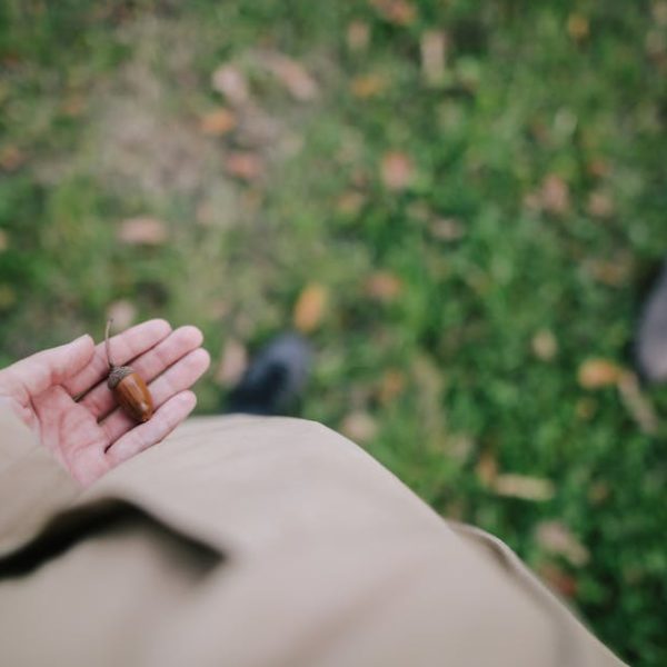 A person in a beige coat holds a small brown acorn in their left hand while standing on grass with scattered leaves.