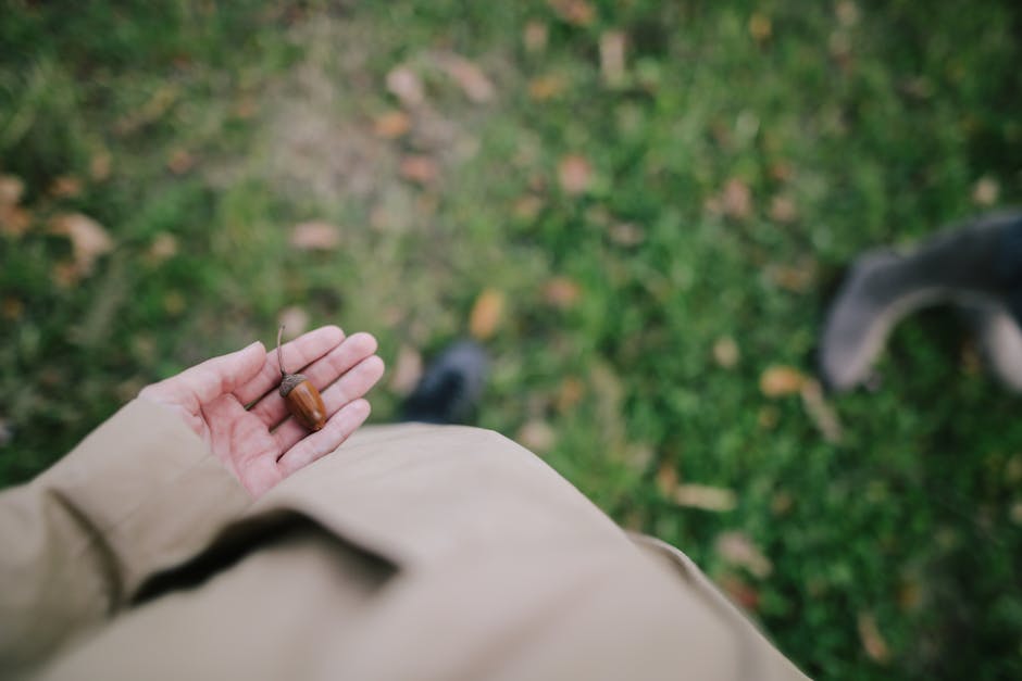 A person in a beige coat holds a small brown acorn in their left hand while standing on grass with scattered leaves.