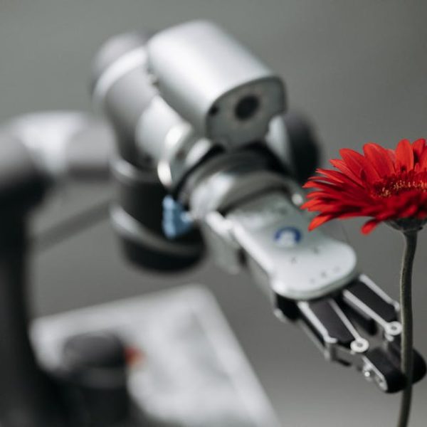 A robotic arm carefully holding a red flower against a plain background.