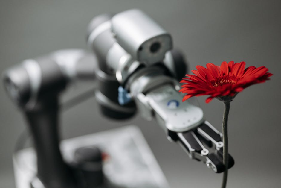 A robotic arm carefully holding a red flower against a plain background.