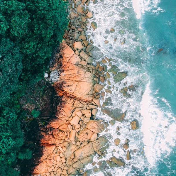 Aerial view of a coastline showing green forest on the left, rocky shore in the middle, and blue ocean waves on the right.
