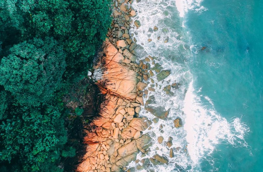Aerial view of a coastline showing green forest on the left, rocky shore in the middle, and blue ocean waves on the right.