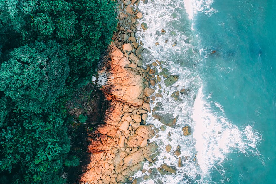 Aerial view of a coastline showing green forest on the left, rocky shore in the middle, and blue ocean waves on the right.