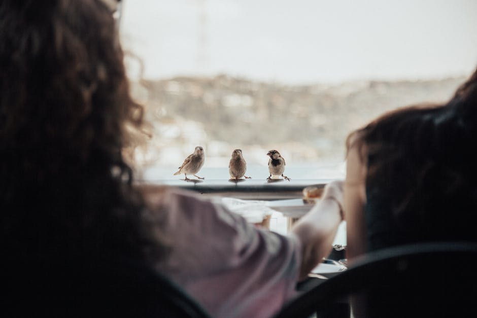 Two people sit at a table while three small birds perch on the edge outside, with a blurred landscape in the background.