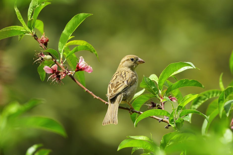 A small brown bird is perched on a branch with green leaves and pink flowers against a blurred green background.