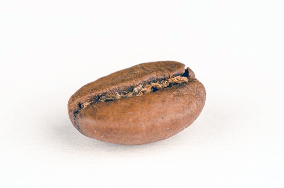 Close-up of a single roasted coffee bean on a white background.