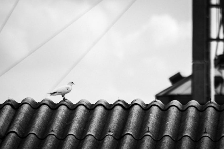 A bird stands on the wavy tiles of a rooftop, with blurred industrial structures and a cloudy sky in the background.