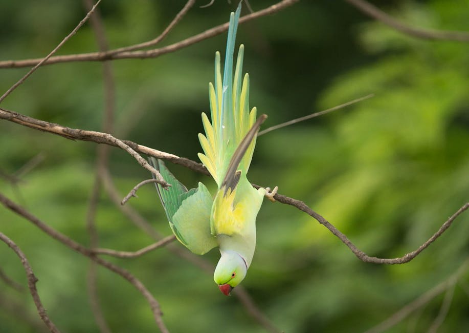 A green parrot with a red beak hangs upside down from a thin tree branch against a blurred green background.