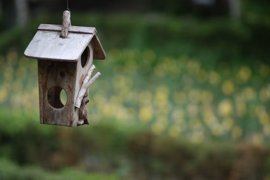 A rustic wooden birdhouse hangs in the foreground with a blurred green and yellow garden in the background.