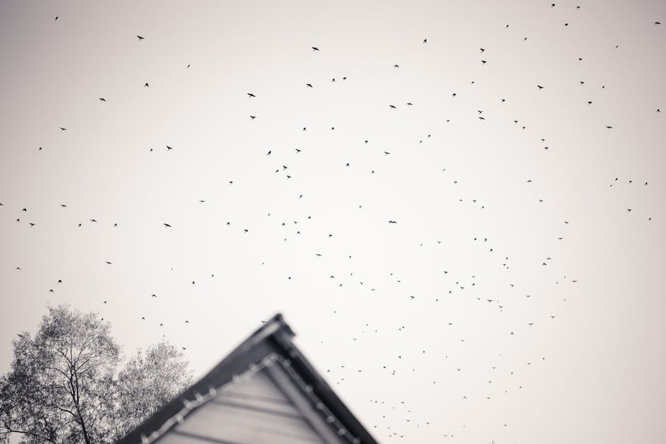 A large flock of birds flies across a pale sky above the corner of a building and a tree, shown in black and white.
