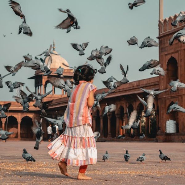 A young girl in a striped dress stands among pigeons in the courtyard of a historical red sandstone building.