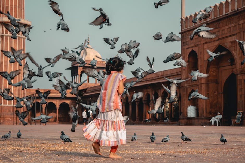 A young girl in a striped dress stands among pigeons in the courtyard of a historical red sandstone building.