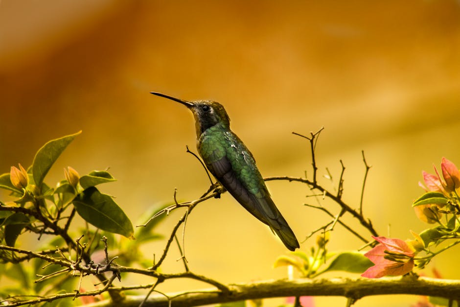 A green hummingbird perched on a thin branch, surrounded by leaves and pink flowers, with a blurred yellow background.