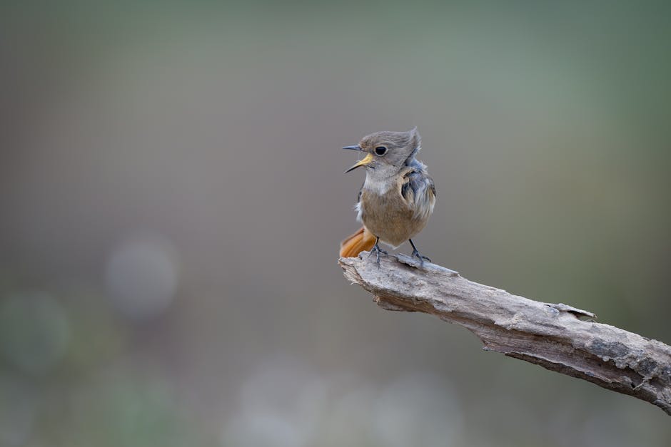 A small brown bird with a slightly open beak is perched on the end of a weathered branch, with a blurred green and gray background.