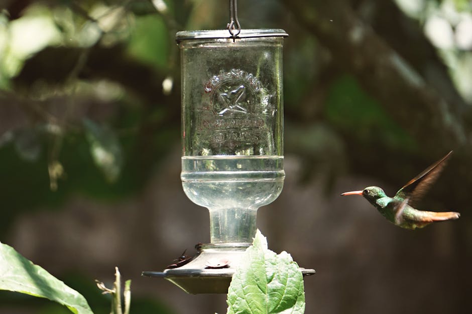 A hummingbird hovers near a clear glass feeder outdoors, surrounded by green foliage.
