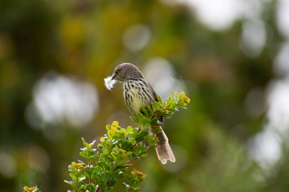 A small bird with a speckled chest perches on a leafy branch, holding a piece of white fluff in its beak; blurred greenery in the background.