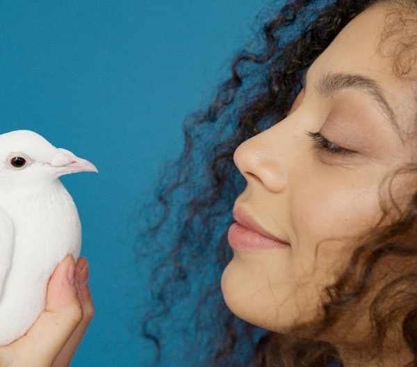 A woman with curly hair holds a white dove in her hands and looks at it, with a blue background.