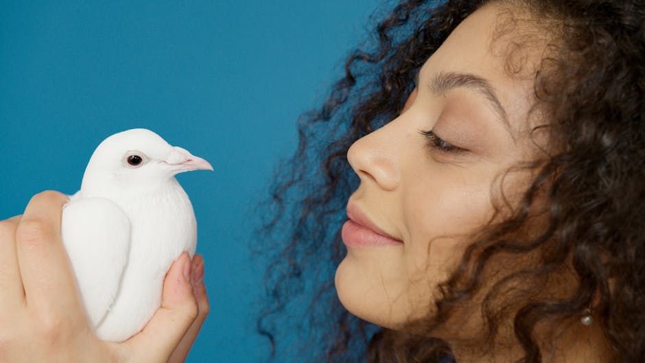 A woman with curly hair holds a white dove in her hands and looks at it, with a blue background.