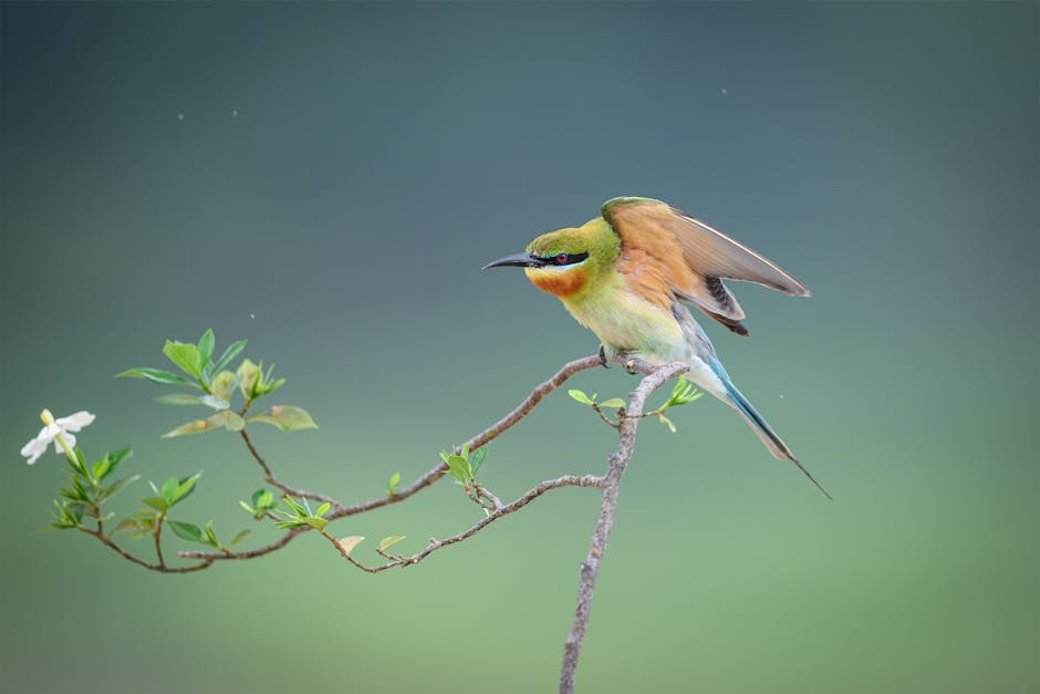 A colorful bird with green, yellow, and blue feathers perches on a thin branch with a few green leaves and a single white flower against a blurred green background.