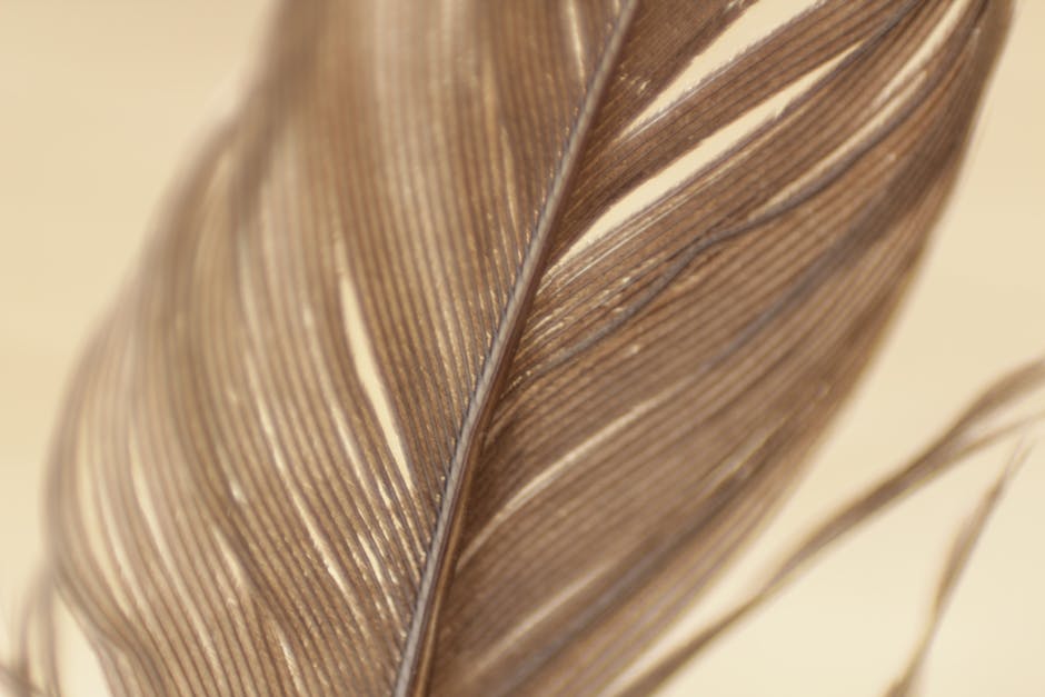 Close-up view of a brown feather showing detailed texture and fine lines against a soft, beige background.