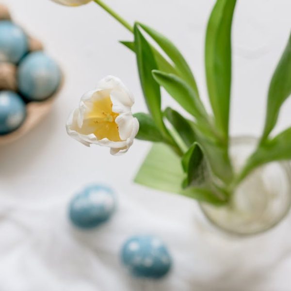 A white tulip in a glass vase next to blue dyed eggs on a white surface, with more eggs in a carton in the background.