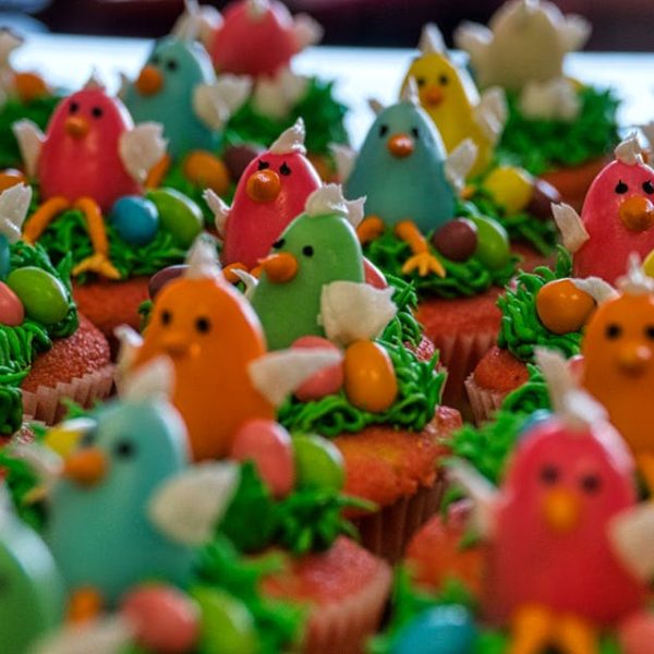 Colorful cupcakes decorated with icing birds and eggs, arranged closely together on a tray.