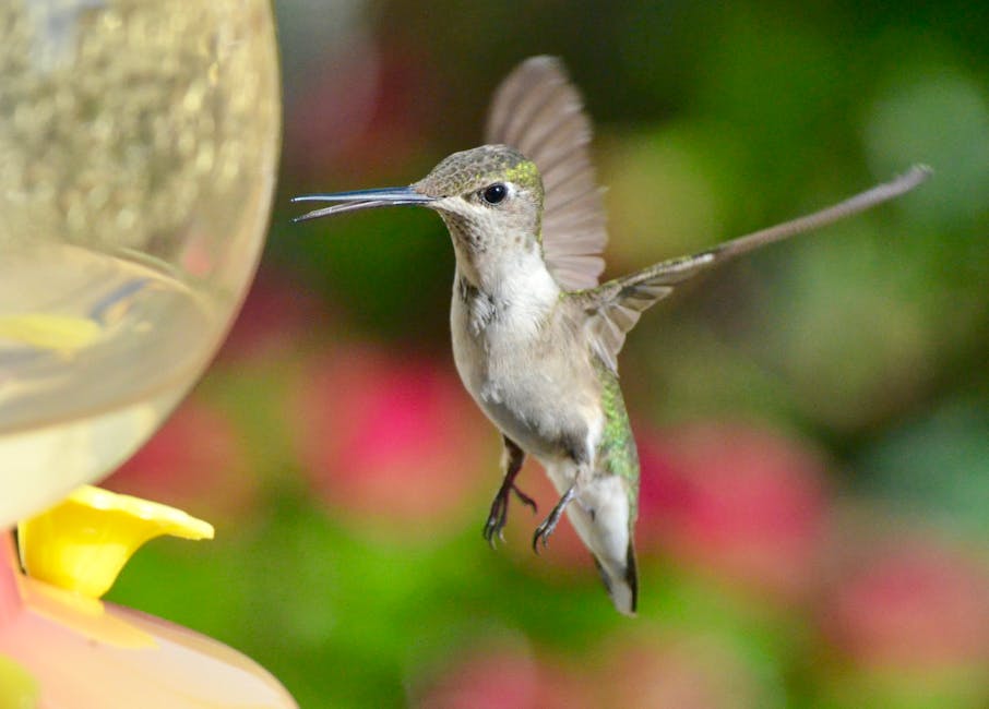 A hummingbird hovers in mid-air near a yellow feeder, with its wings spread and background blurred by greenery and pink flowers.