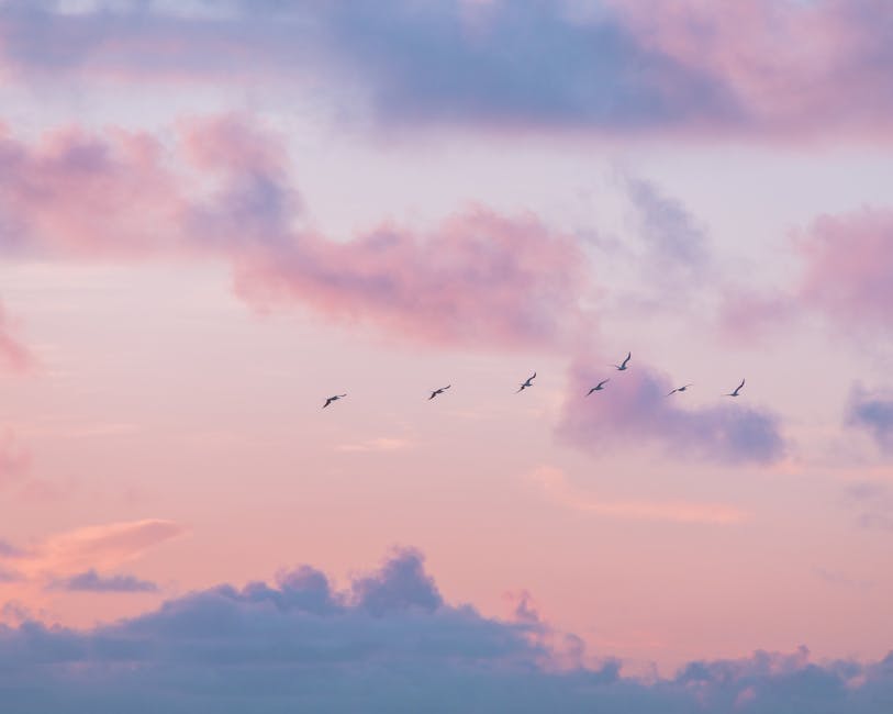 A group of birds flies in formation across a pink and blue cloudy sky at sunset or sunrise.