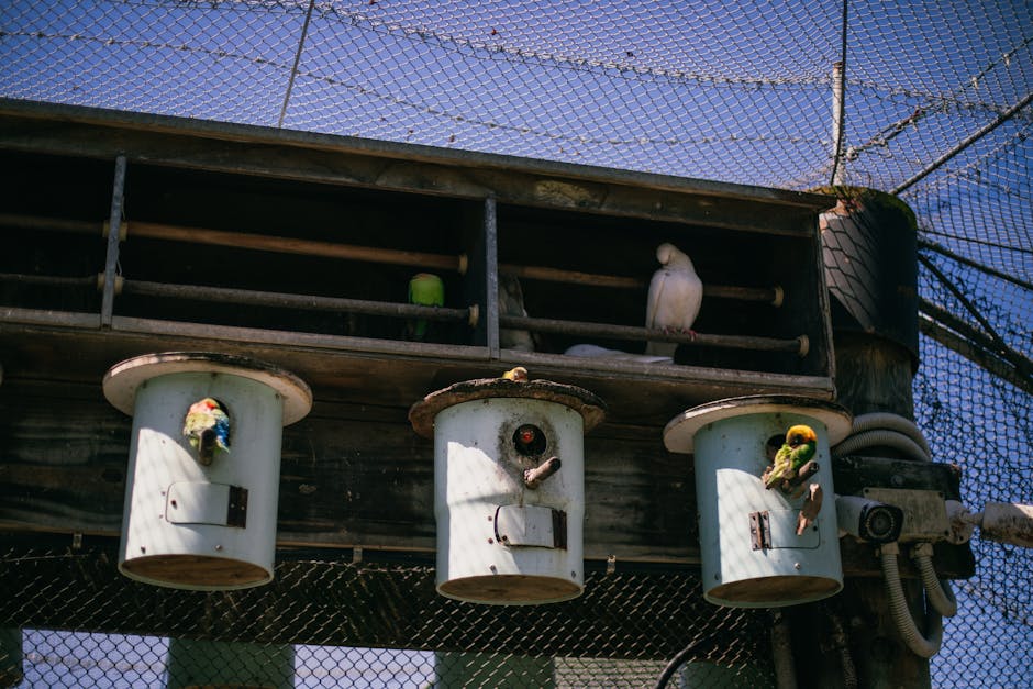 Several birds perch inside and outside cylindrical birdhouses attached to a wooden structure, enclosed by netting.