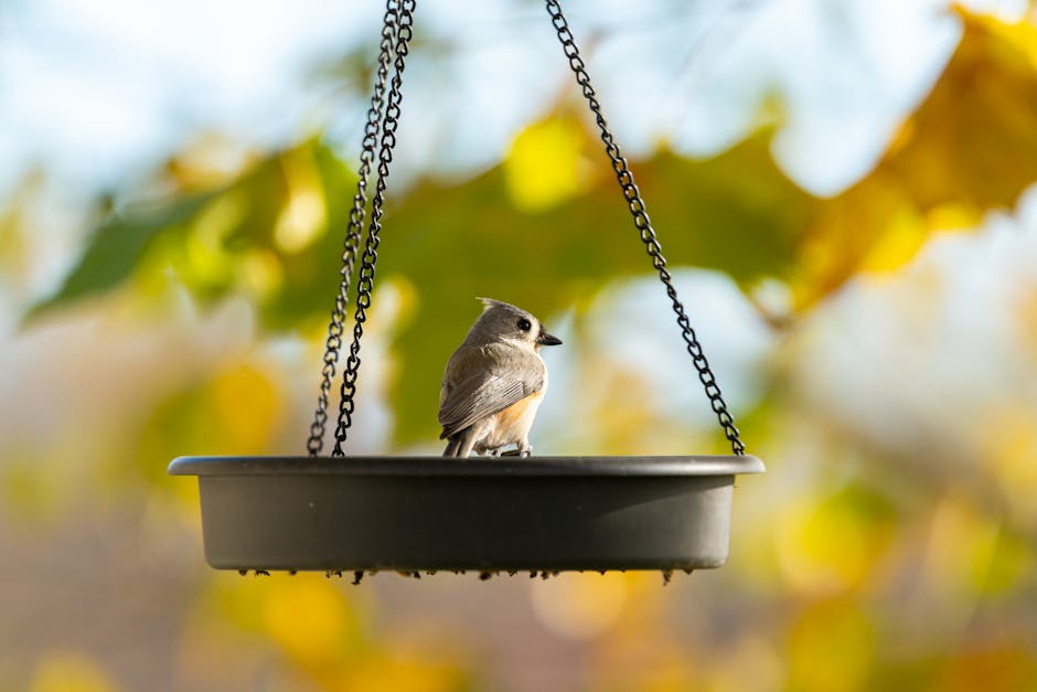 A small bird perched on a hanging bird feeder with green and yellow leaves blurred in the background.