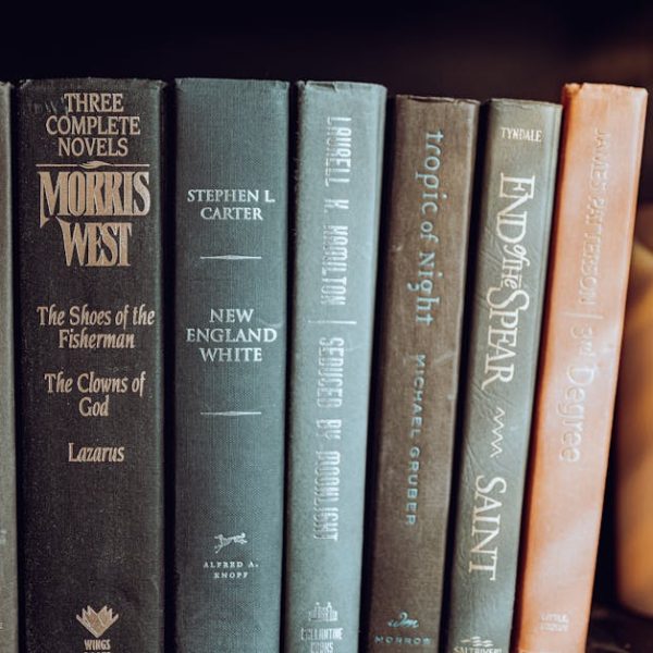 A row of novels by various authors standing upright on a bookshelf next to an unlit pillar candle.