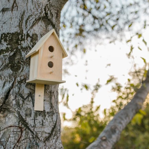A wooden birdhouse is mounted on the trunk of a tree outdoors with sunlight filtering through branches in the background.