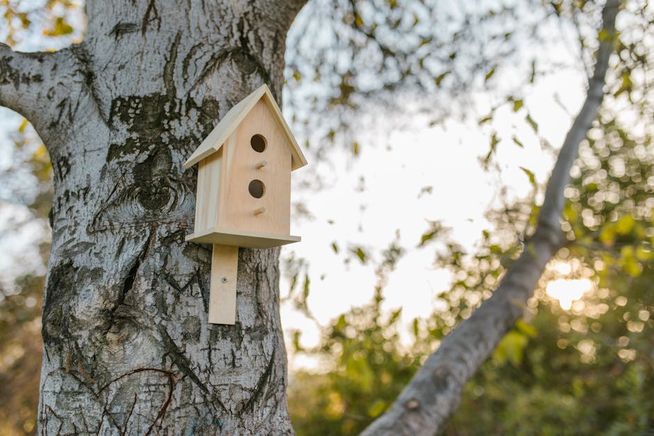 A wooden birdhouse is mounted on the trunk of a tree outdoors with sunlight filtering through branches in the background.