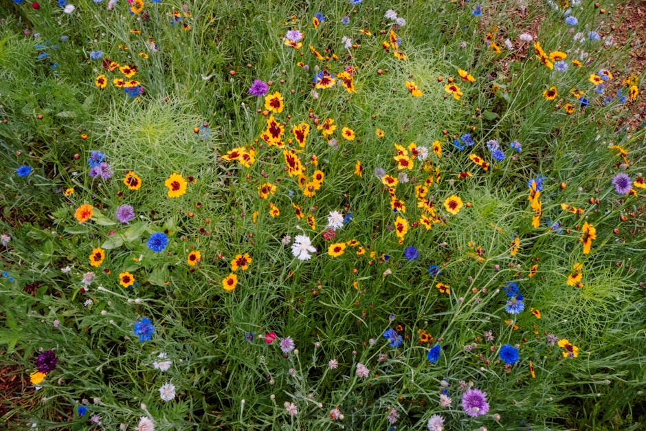 A dense patch of wildflowers with yellow, purple, white, and blue blooms surrounded by green grass and foliage.