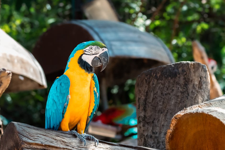 A blue and yellow macaw perches on a wooden log with greenery and blurred objects in the background.